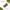 Cyspera Total Skin Supplement benefits
